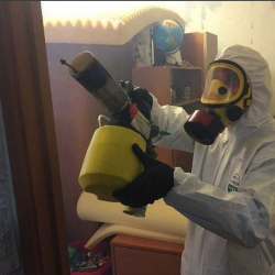 Уничтожение клопов в квартире. Низино
